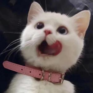 jizzjizz免费大全
