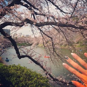 jizzjizz免费大全
