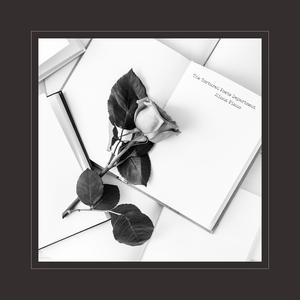 jizzjizz免费大全
